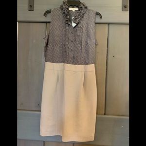 Ann Taylor Loft Dress